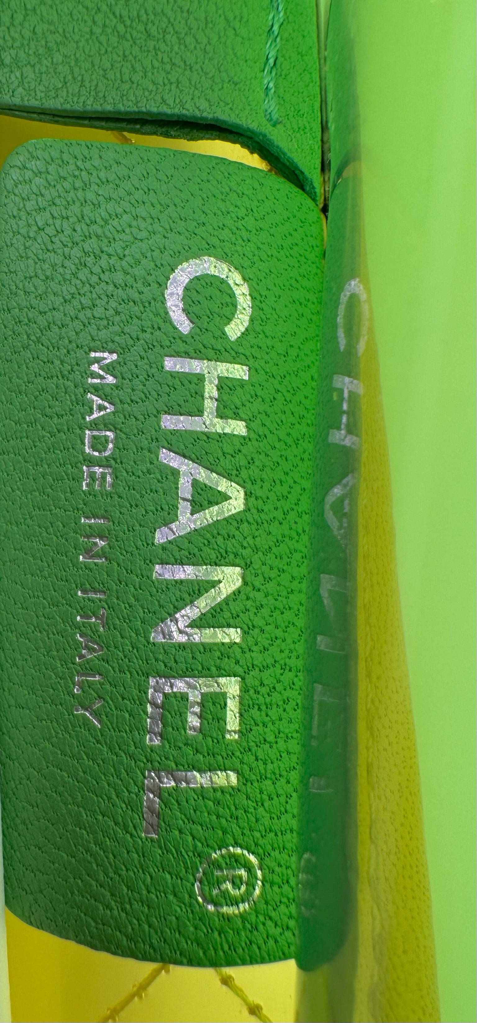 CHANEL Coco Splash PVC Flapbag
