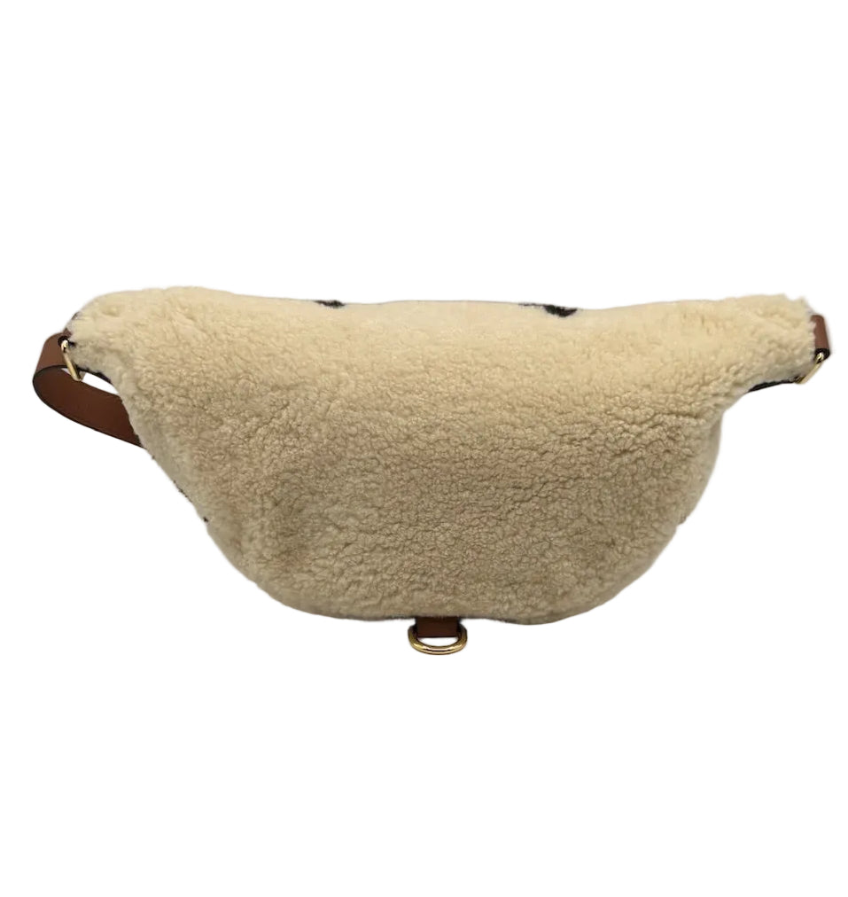 Louis Vuitton Teddy Shearling Bumbag