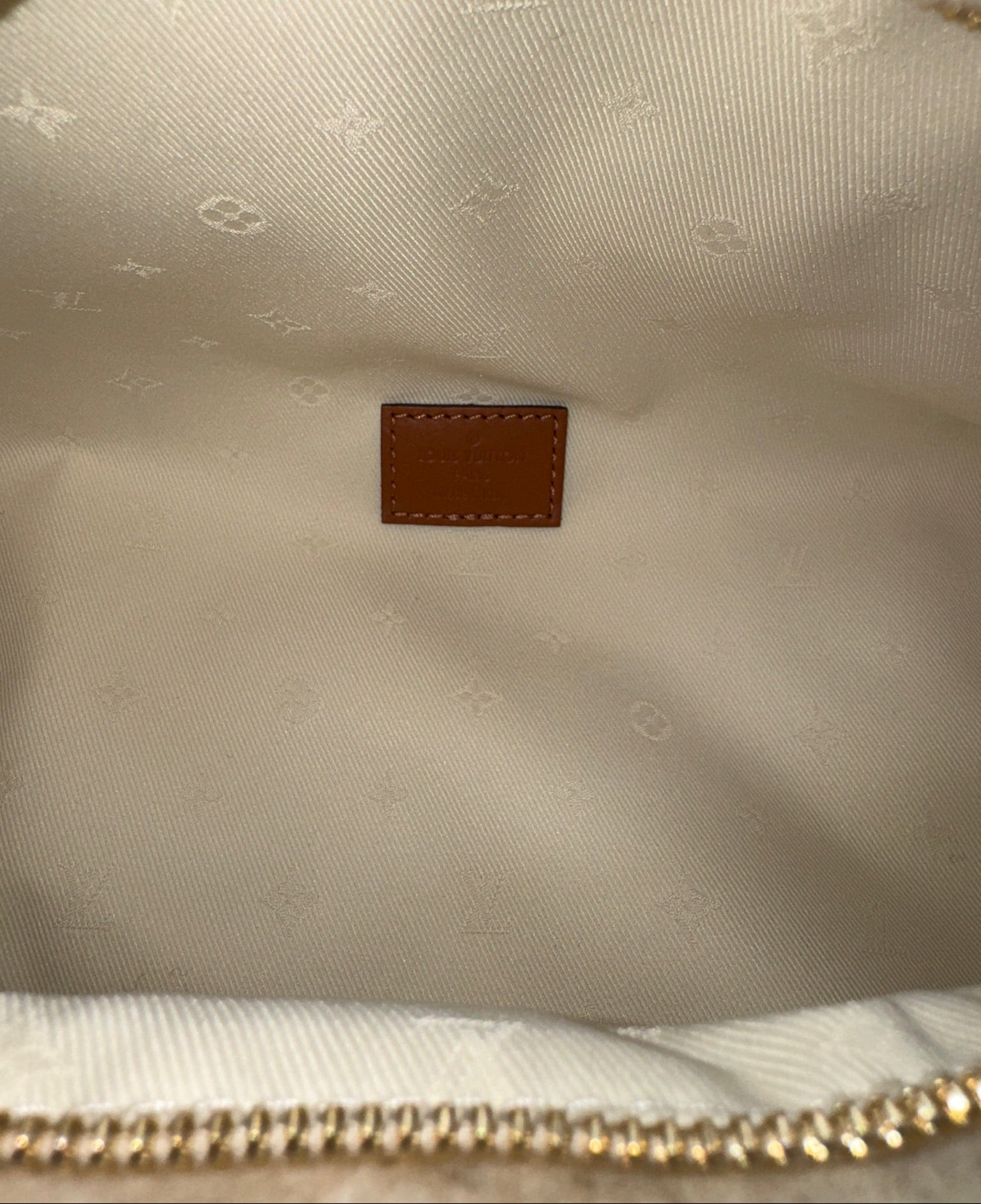 Louis Vuitton Teddy Shearling Bumbag
