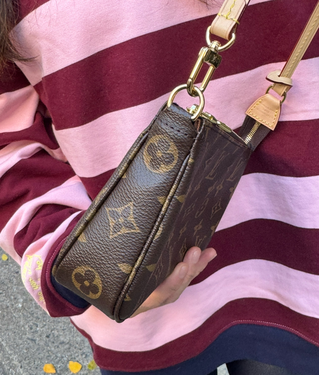 Louis Vuitton Pochette Accessoires Shoulder Bag