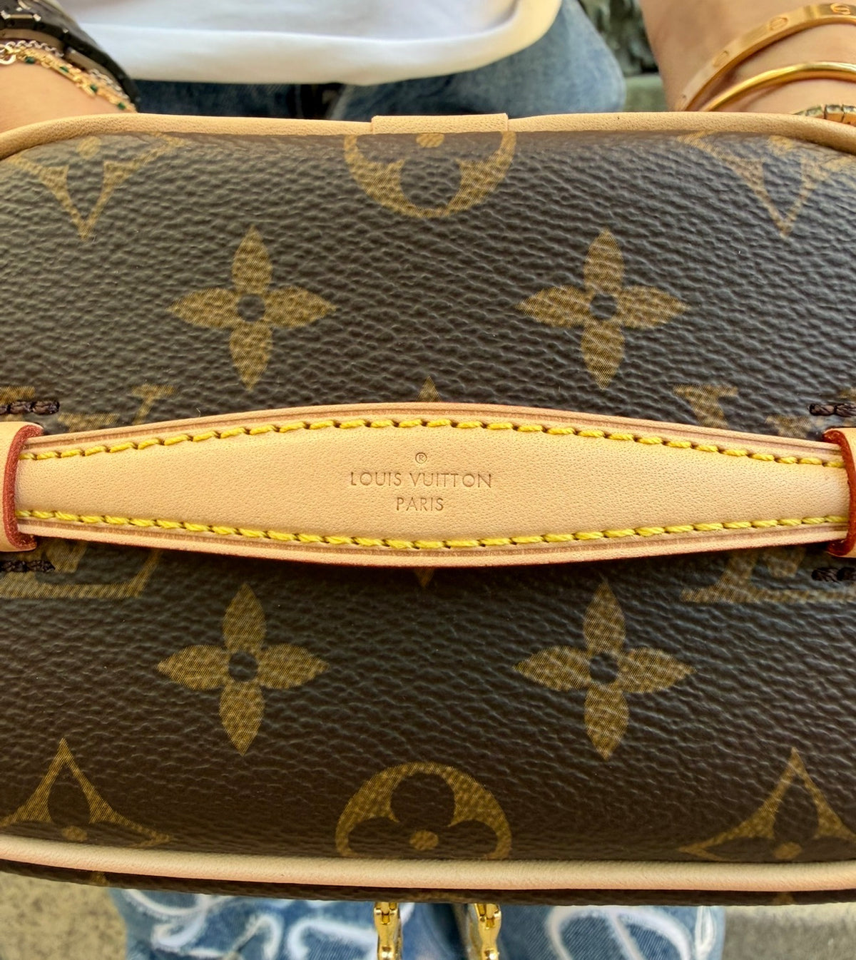 Louis Vuitton Nice Nano Monogram