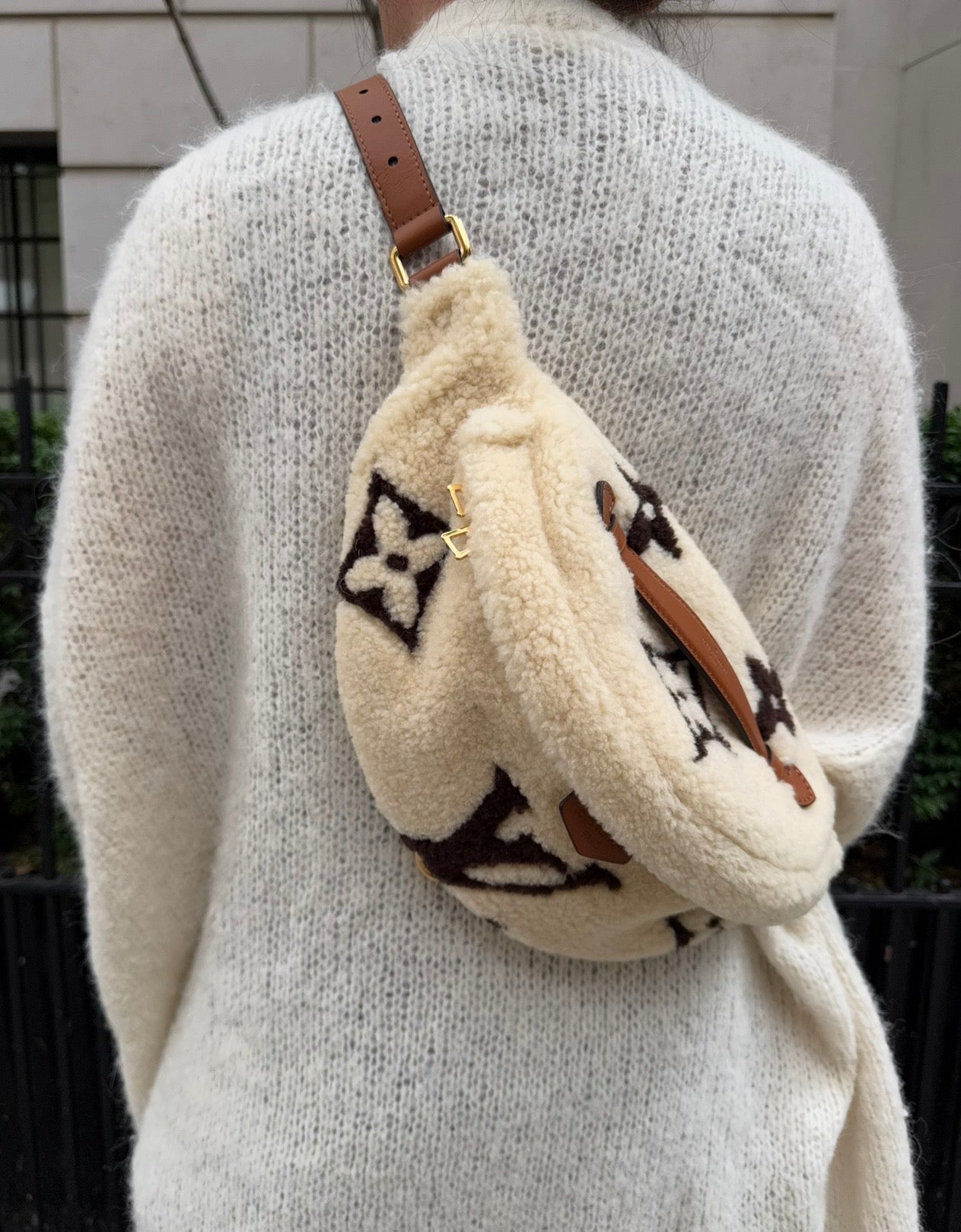 Louis Vuitton Teddy Shearling Bumbag