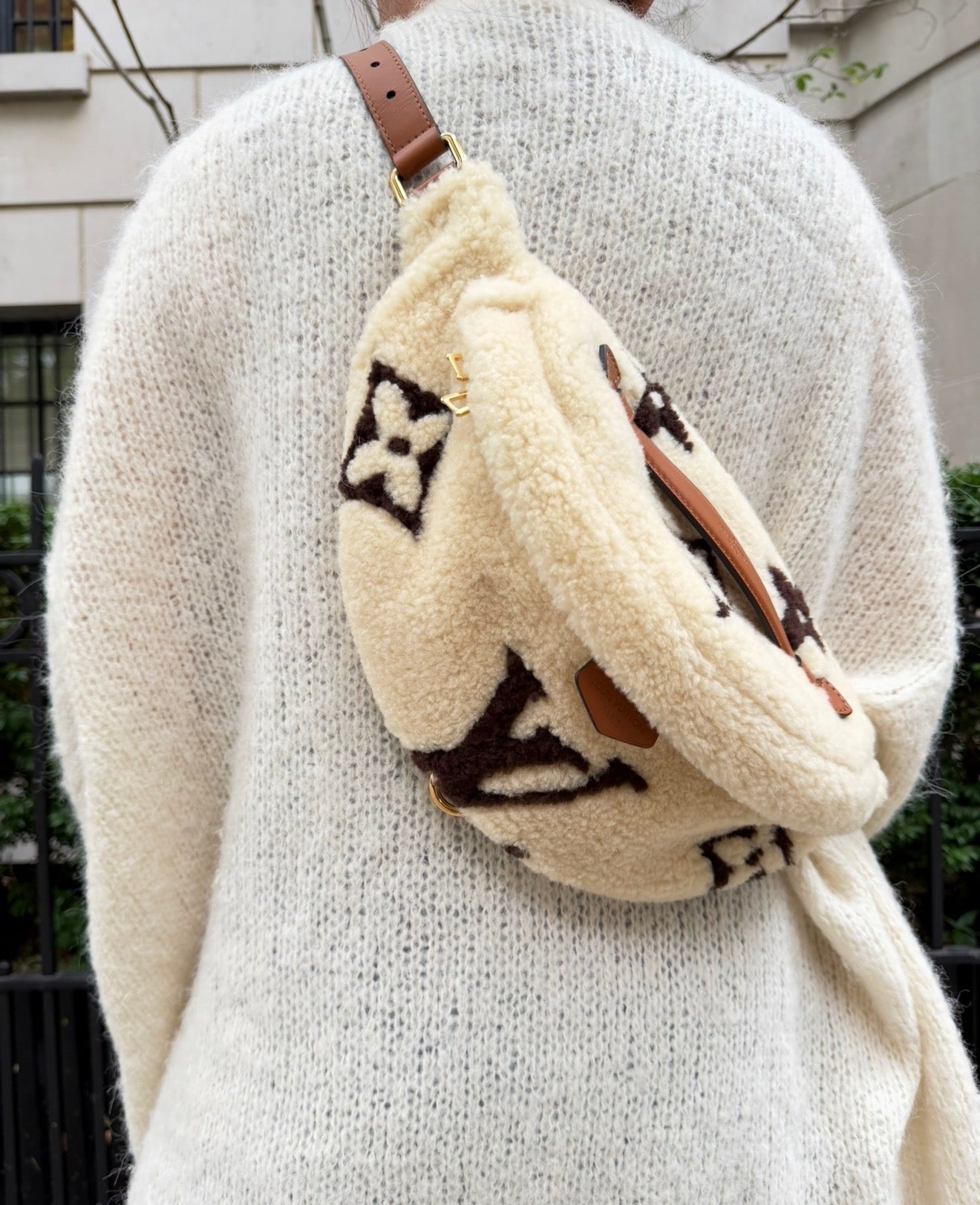 Louis Vuitton Teddy Shearling Bumbag