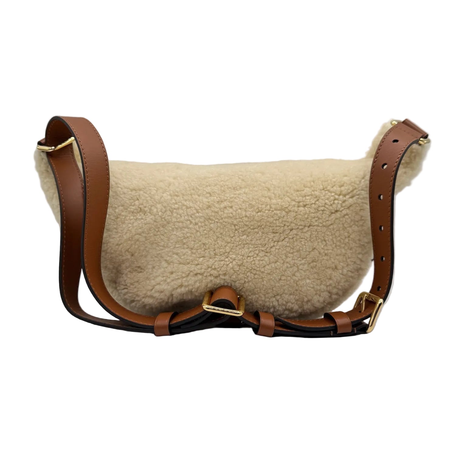 Louis Vuitton Teddy Shearling Bumbag