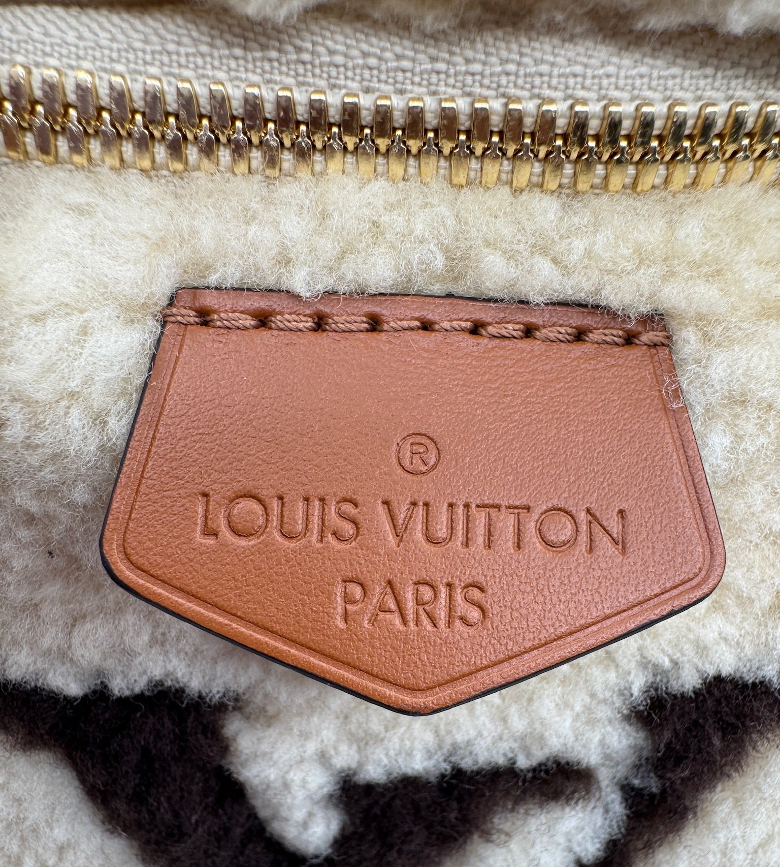 Louis Vuitton Teddy Shearling Bumbag