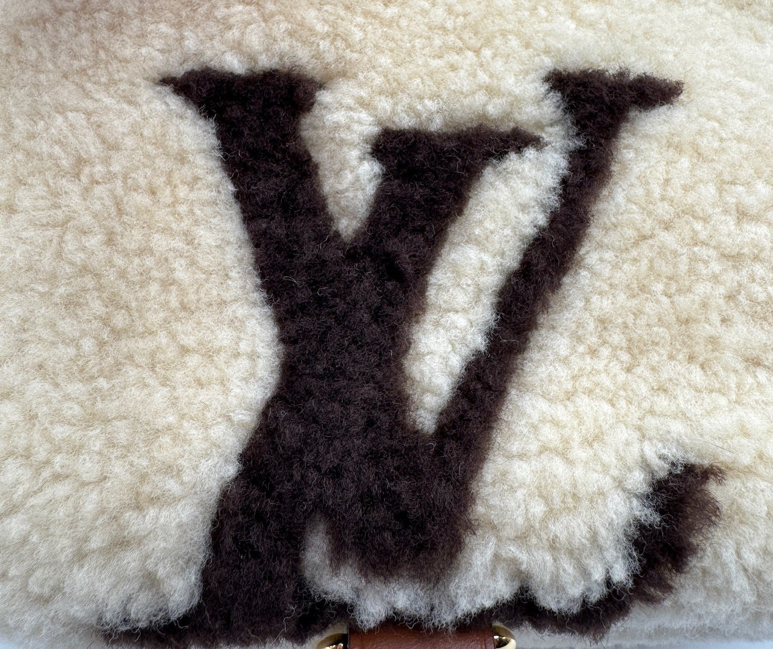 Louis Vuitton Teddy Shearling Bumbag