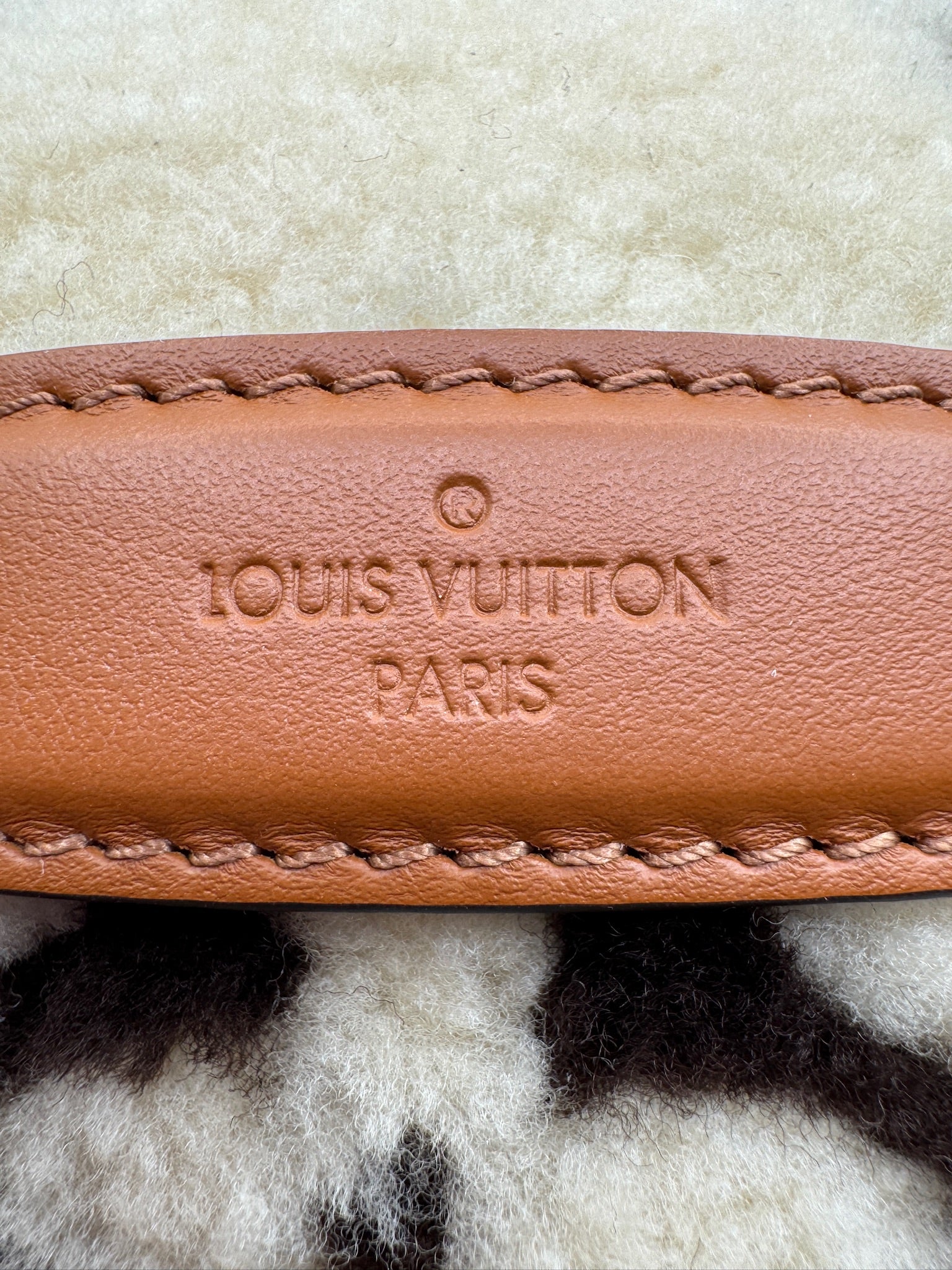 Louis Vuitton Teddy Shearling Bumbag