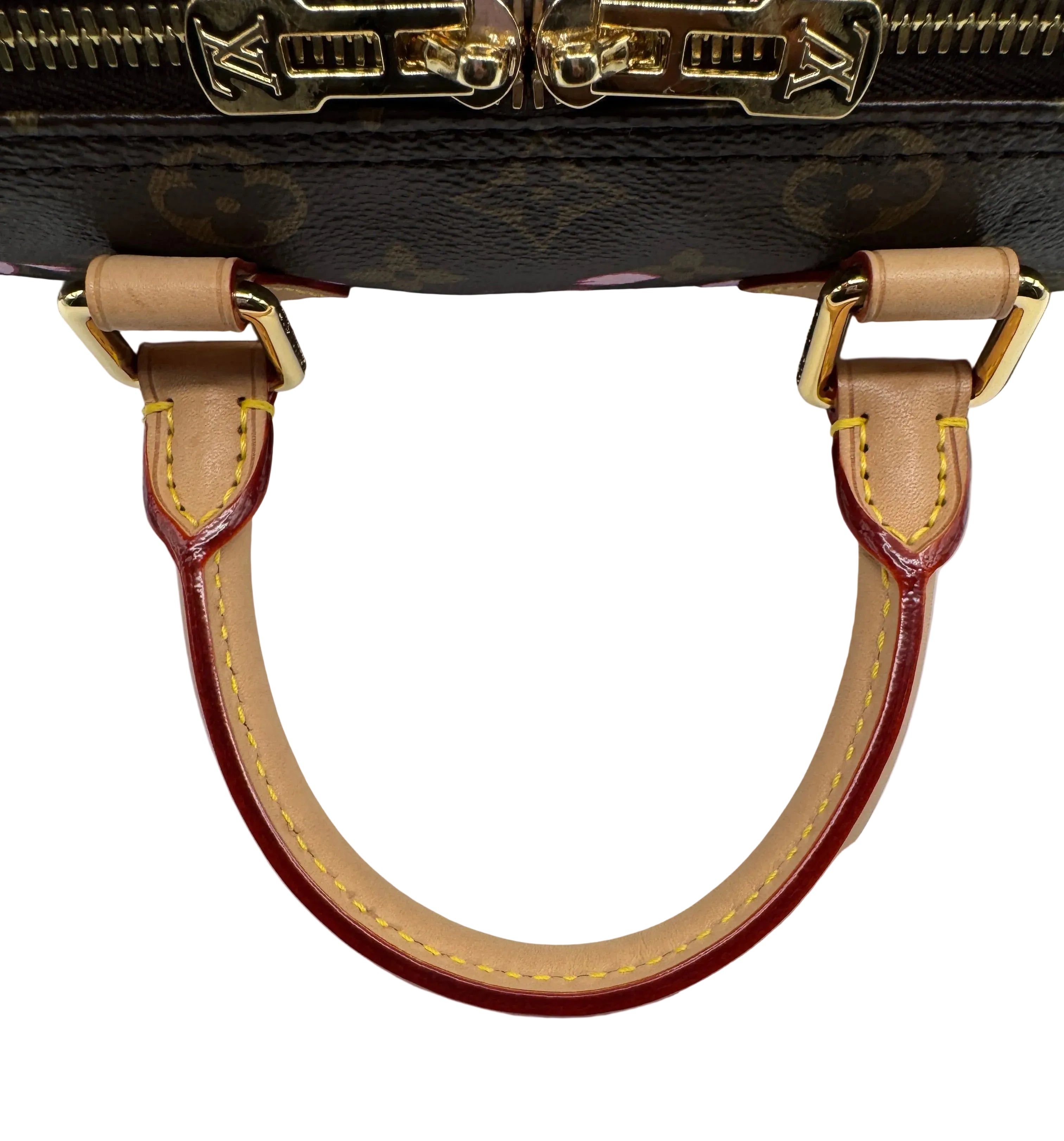 Louis Vuitton X Takashi Murakami Cherry Blossom Brown Monogram Speedy 25