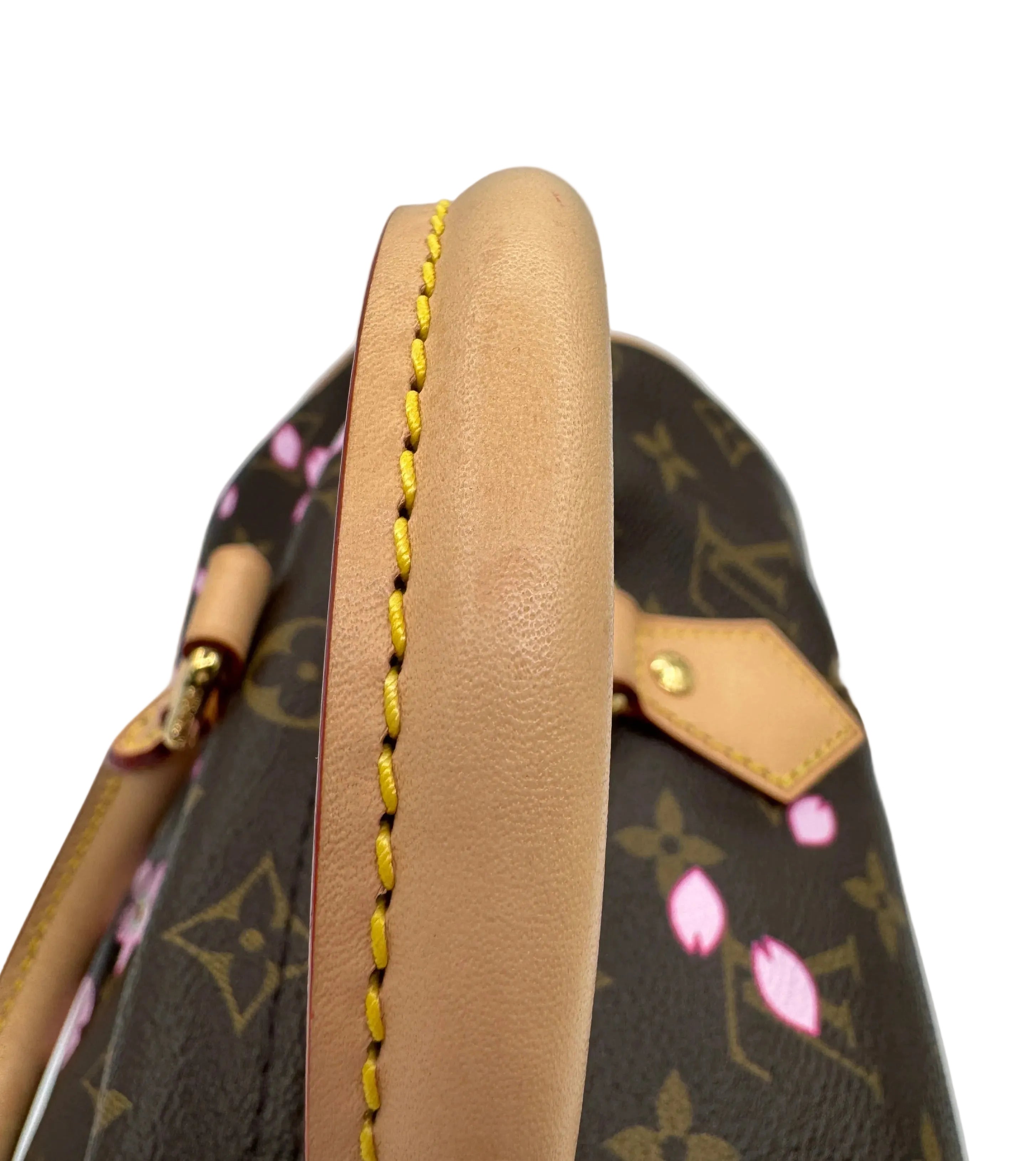 Louis Vuitton X Takashi Murakami Cherry Blossom Brown Monogram Speedy 25