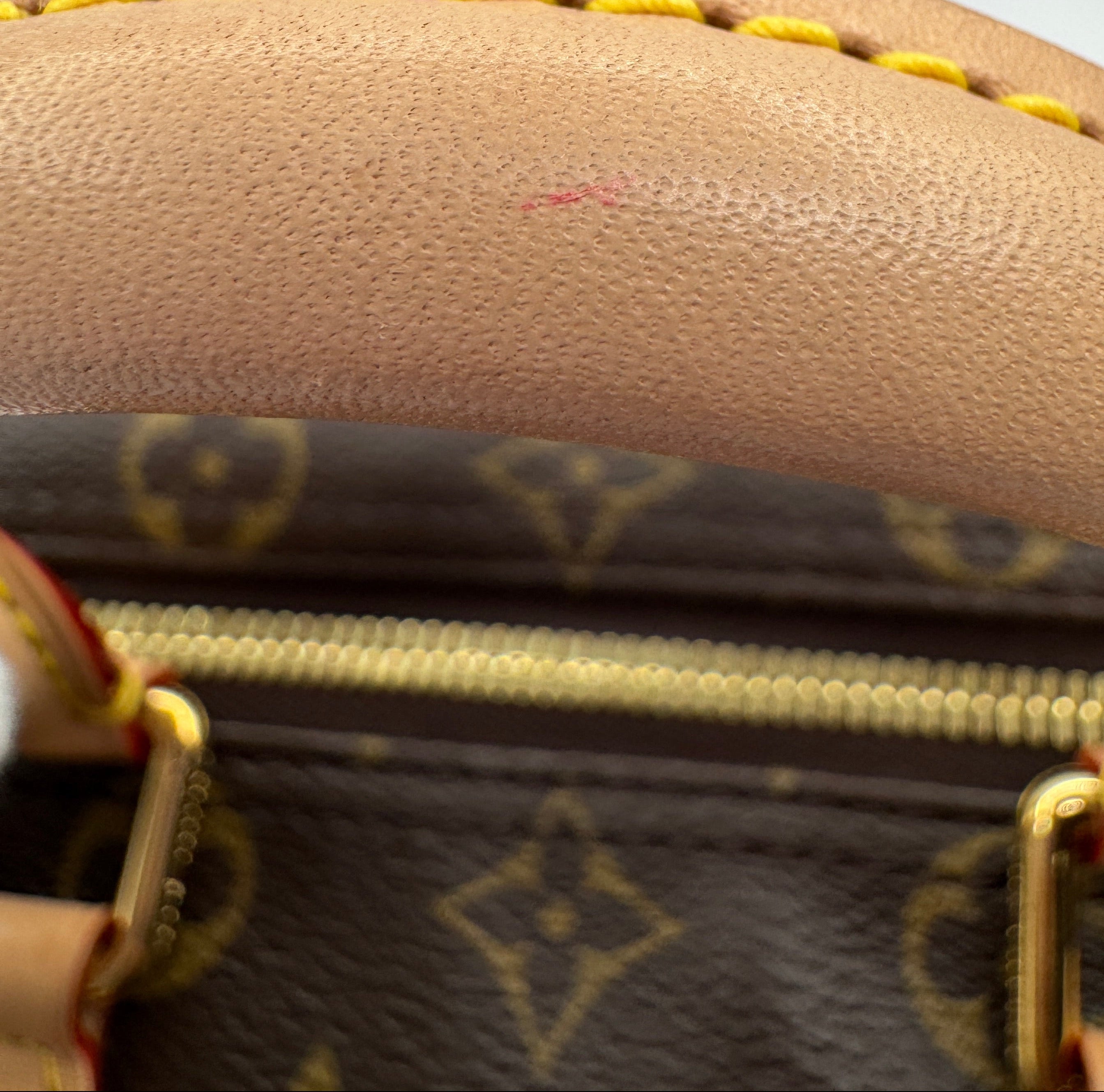 Louis Vuitton X Takashi Murakami Cherry Blossom Brown Monogram Speedy 25