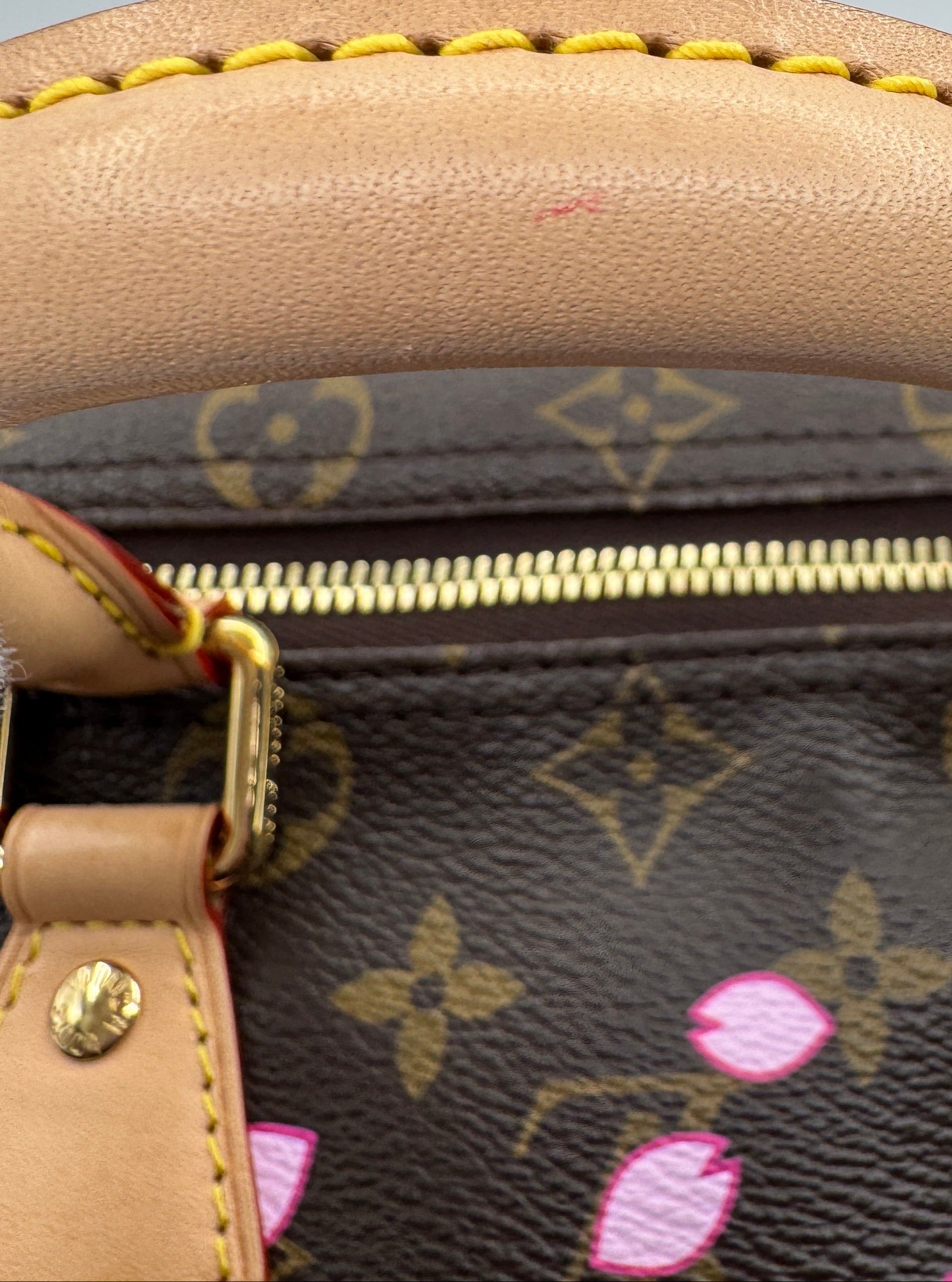 Louis Vuitton X Takashi Murakami Cherry Blossom Brown Monogram Speedy 25