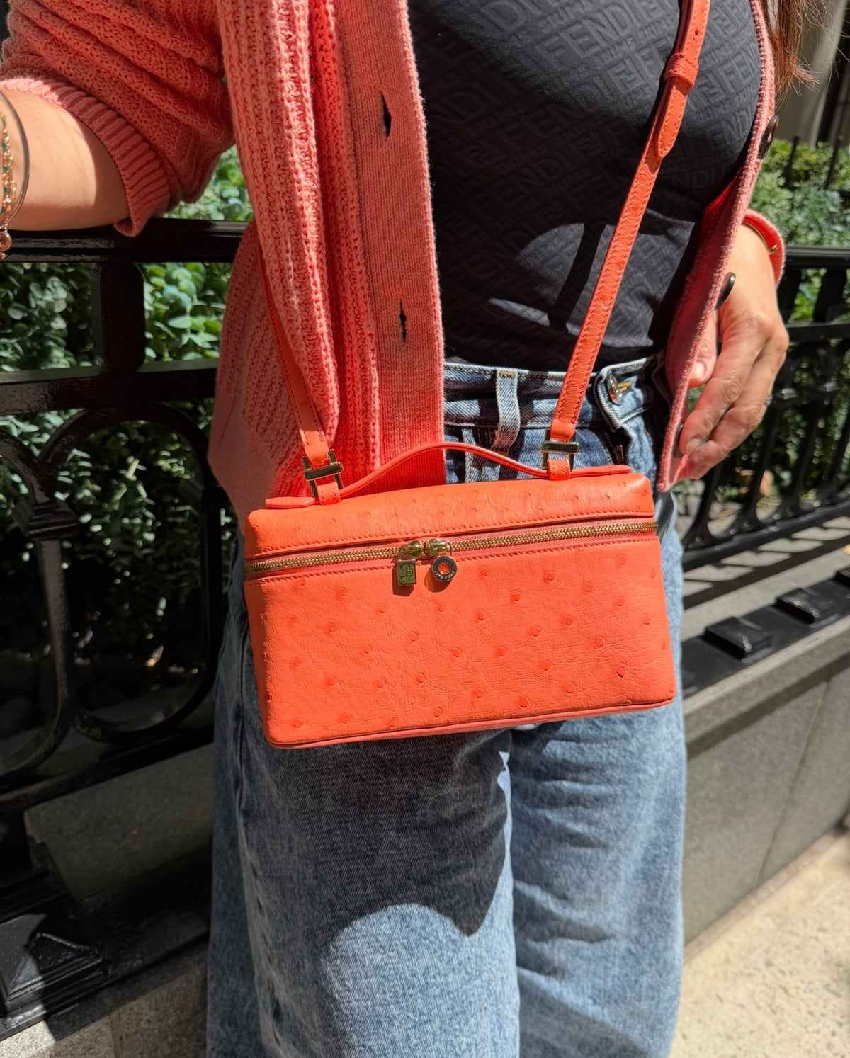 Loro Piana L19 Bright Orange Ostrich Pouch