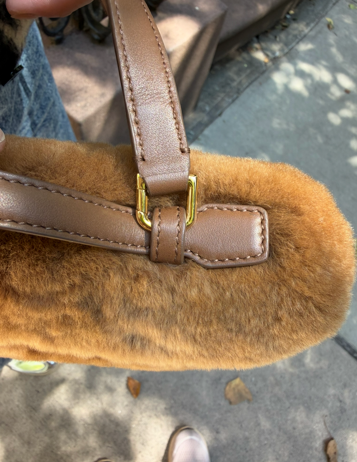 Loro Piana L19 Brown Mink Fur Pouch