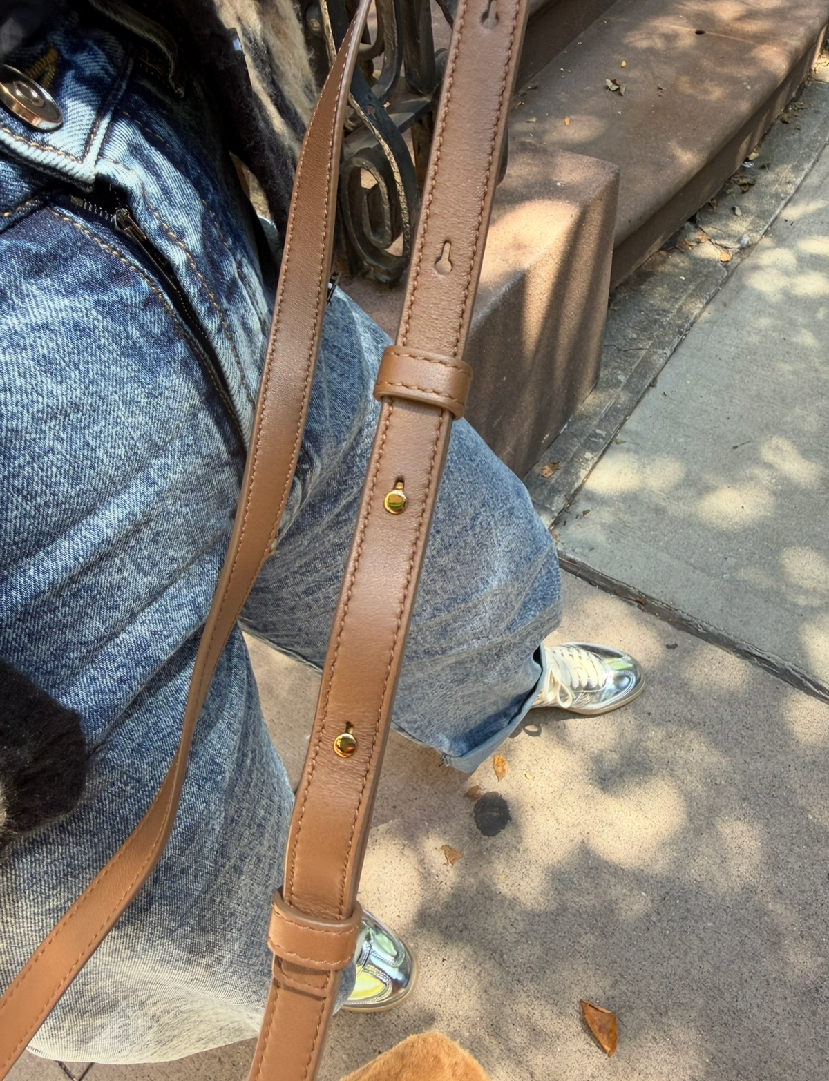 Loro Piana L19 Brown Mink Fur Pouch