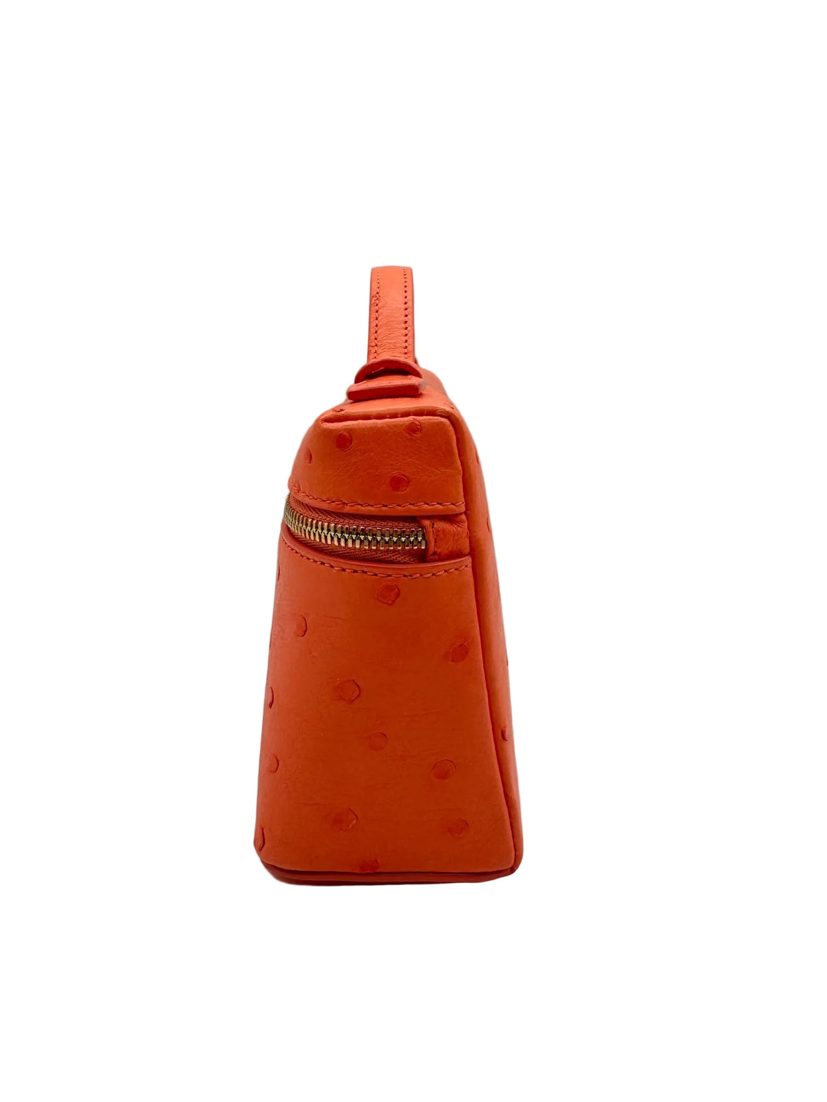 Loro Piana L19 Bright Orange Ostrich Pouch
