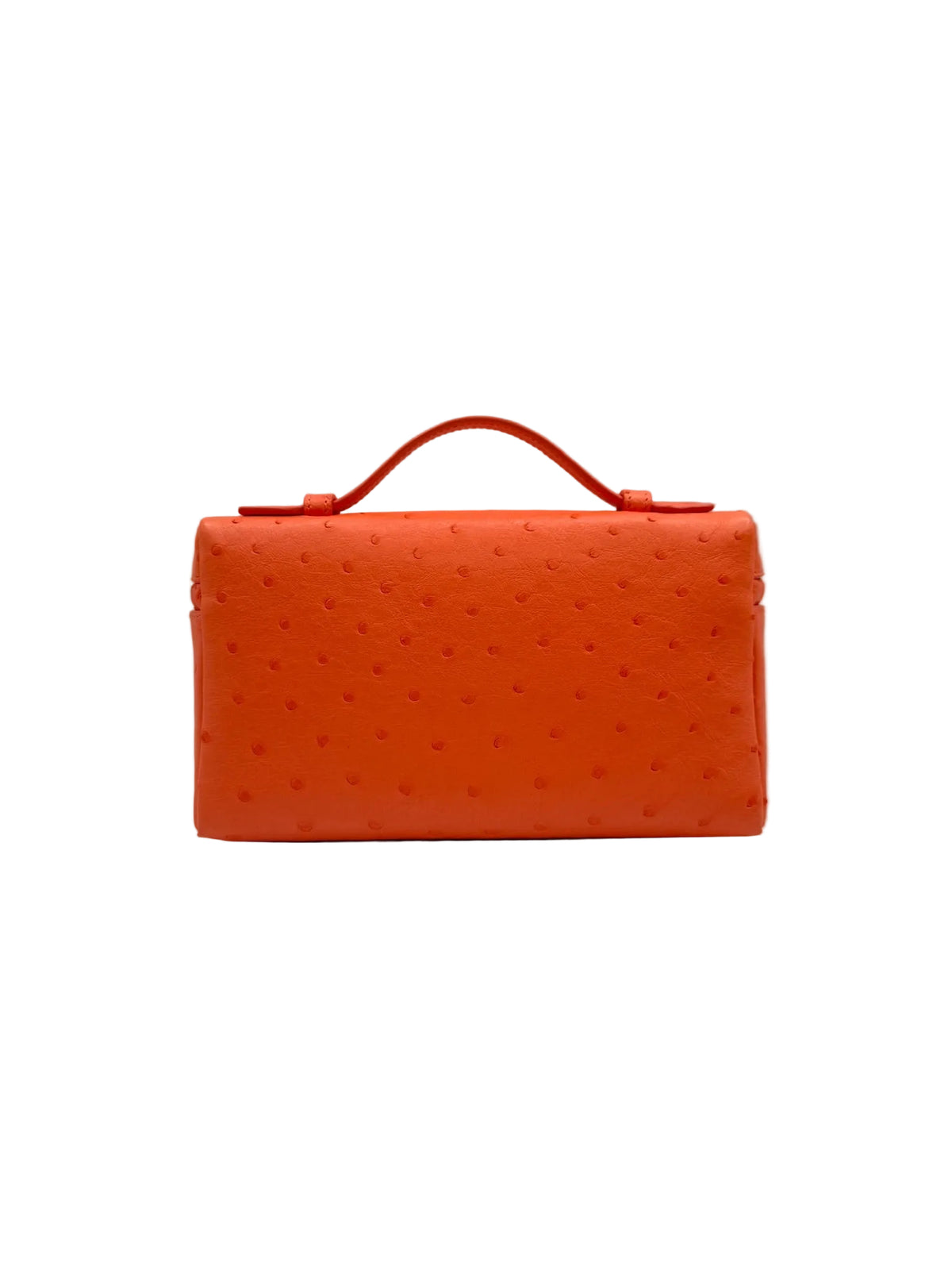 Loro Piana L19 Bright Orange Ostrich Pouch