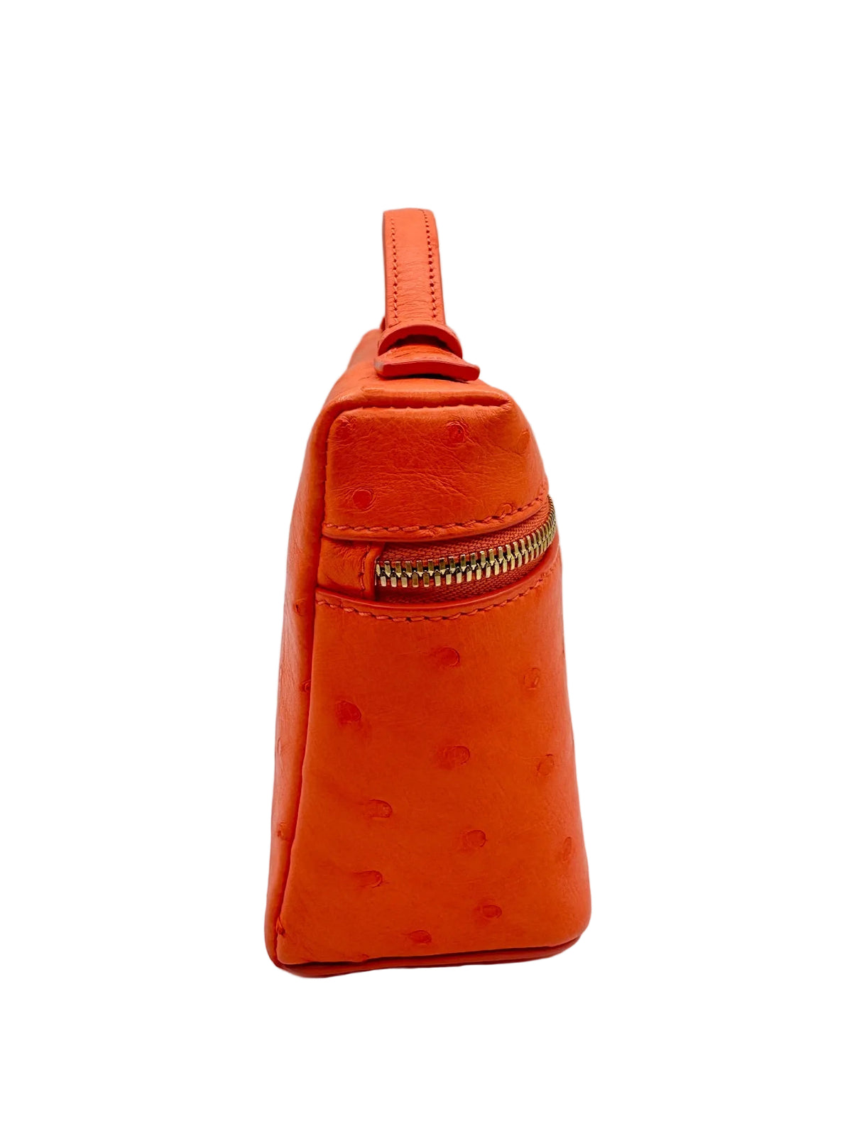 Loro Piana L19 Bright Orange Ostrich Pouch