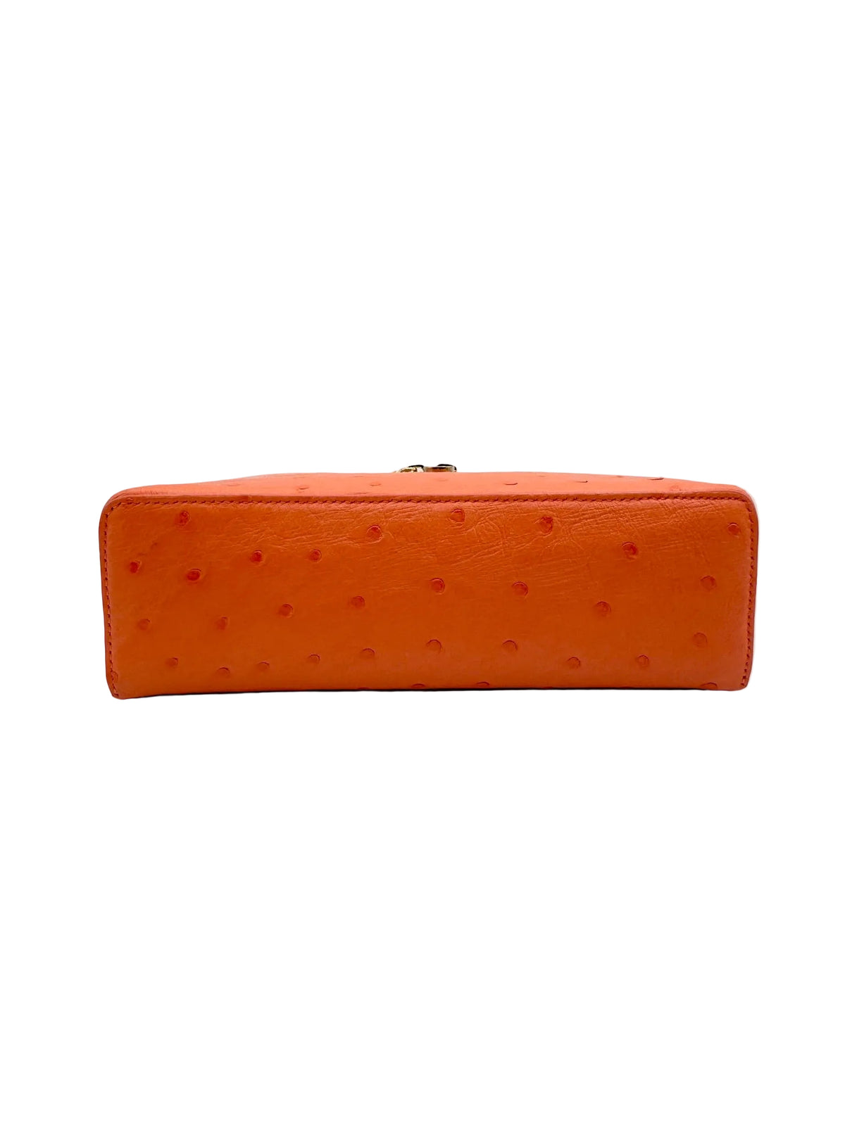 Loro Piana L19 Bright Orange Ostrich Pouch