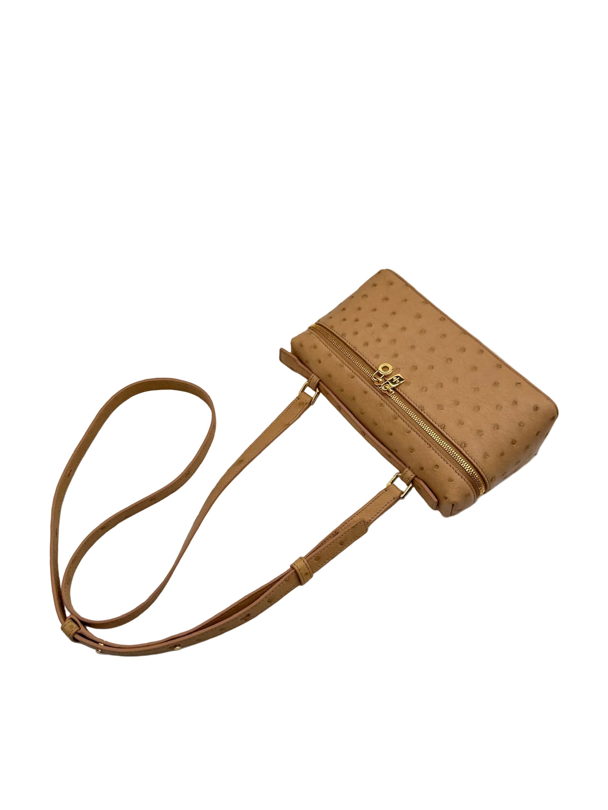 Loro Piana L19 Beige Ostrich Pouch