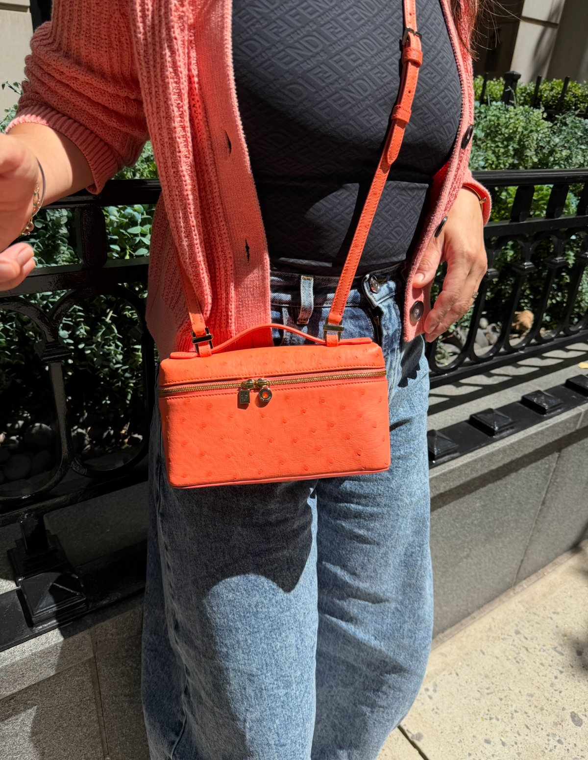Loro Piana L19 Bright Orange Ostrich Pouch