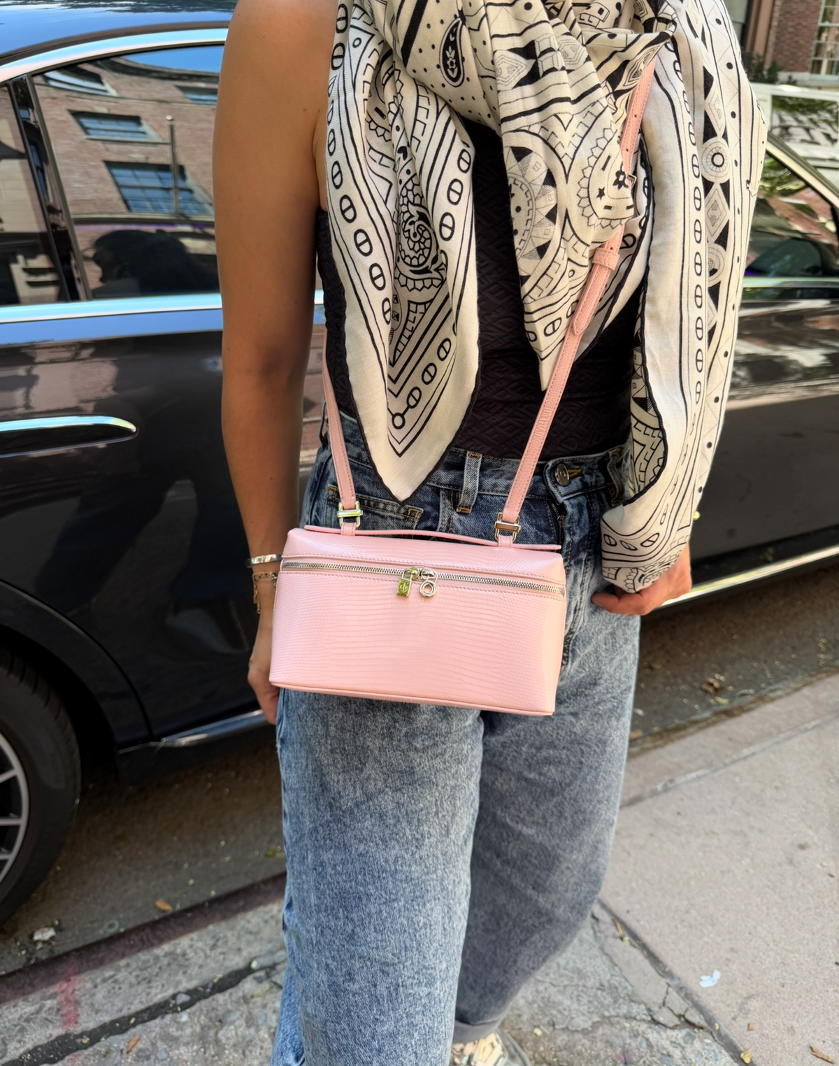 Loro Piana Rose Baby Pink Lizard L19 Pouch